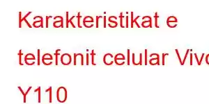 Karakteristikat e telefonit celular Vivo Y110