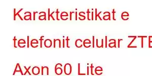 Karakteristikat e telefonit celular ZTE Axon 60 Lite