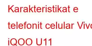 Karakteristikat e telefonit celular Vivo iQOO U11