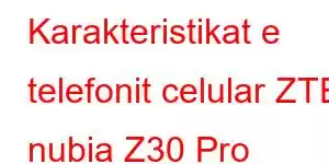 Karakteristikat e telefonit celular ZTE nubia Z30 Pro