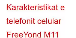 Karakteristikat e telefonit celular FreeYond M11