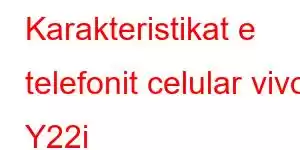 Karakteristikat e telefonit celular vivo Y22i