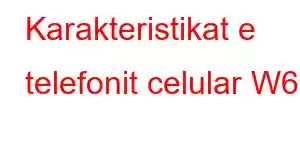 Karakteristikat e telefonit celular W6