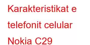 Karakteristikat e telefonit celular Nokia C29