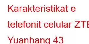 Karakteristikat e telefonit celular ZTE Yuanhang 43