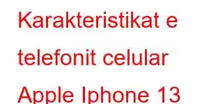 Karakteristikat e telefonit celular Apple Iphone 13