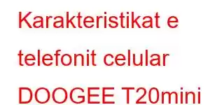 Karakteristikat e telefonit celular DOOGEE T20mini