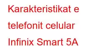 Karakteristikat e telefonit celular Infinix Smart 5A