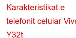 Karakteristikat e telefonit celular Vivo Y32t