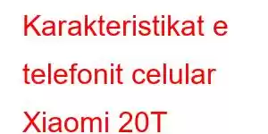 Karakteristikat e telefonit celular Xiaomi 20T