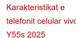 Karakteristikat e telefonit celular vivo Y55s 2025