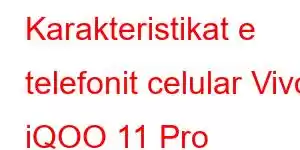 Karakteristikat e telefonit celular Vivo iQOO 11 Pro