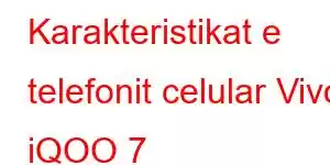 Karakteristikat e telefonit celular Vivo iQOO 7