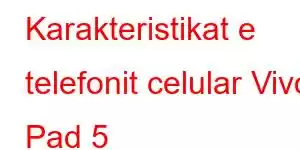 Karakteristikat e telefonit celular Vivo Pad 5