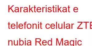 Karakteristikat e telefonit celular ZTE nubia Red Magic 10S Pro Plus