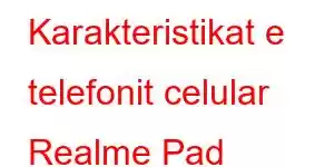 Karakteristikat e telefonit celular Realme Pad