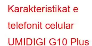 Karakteristikat e telefonit celular UMIDIGI G10 Plus