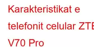 Karakteristikat e telefonit celular ZTE V70 Pro