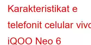 Karakteristikat e telefonit celular vivo iQOO Neo 6