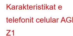 Karakteristikat e telefonit celular AGM Z1